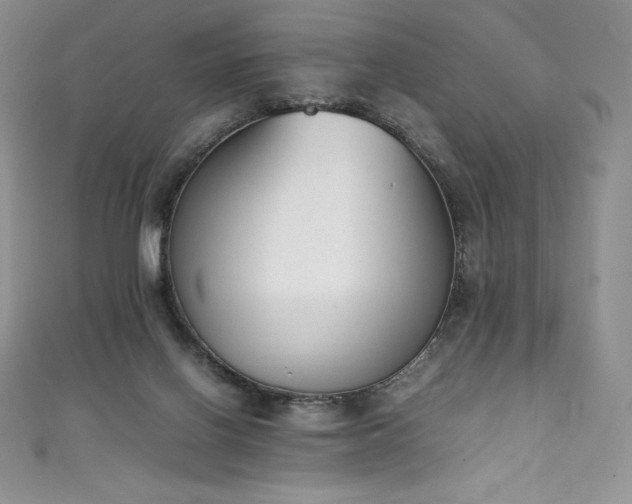 X0000111140070200906301238