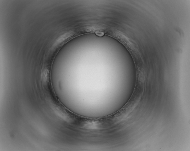 X0000111140071200906301238