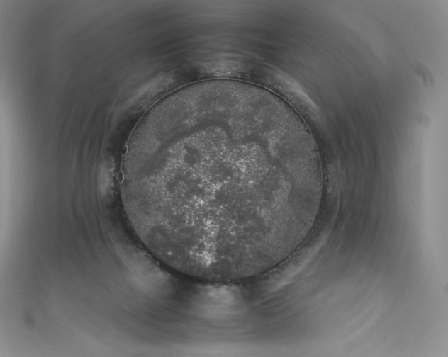 X0000111140073200906301238