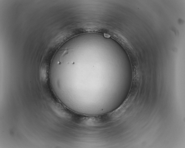 X0000111140074200906301238