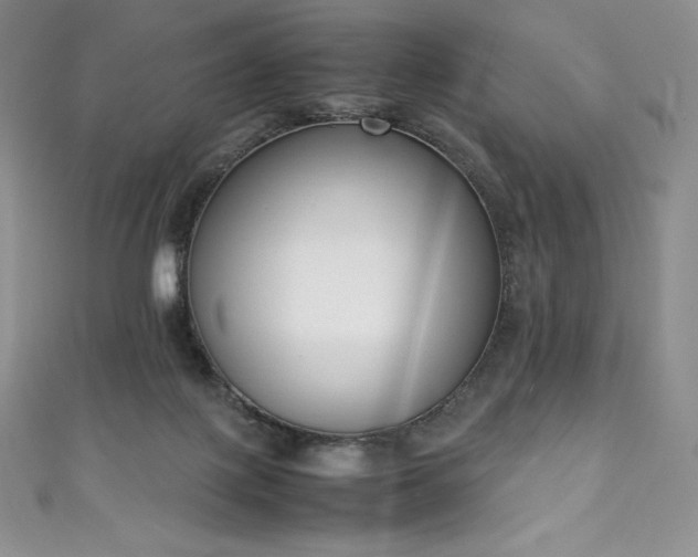 X0000111140075200906301238