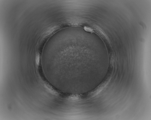 X0000111140076200906301238