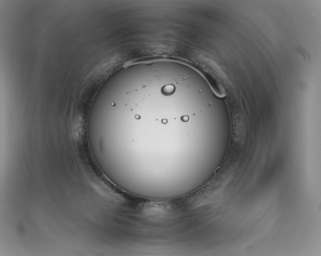 X0000111140077200906301238