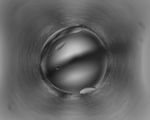 X0000111140078200906301239