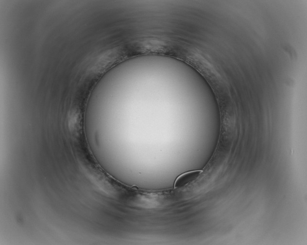 X0000111140079200906301239