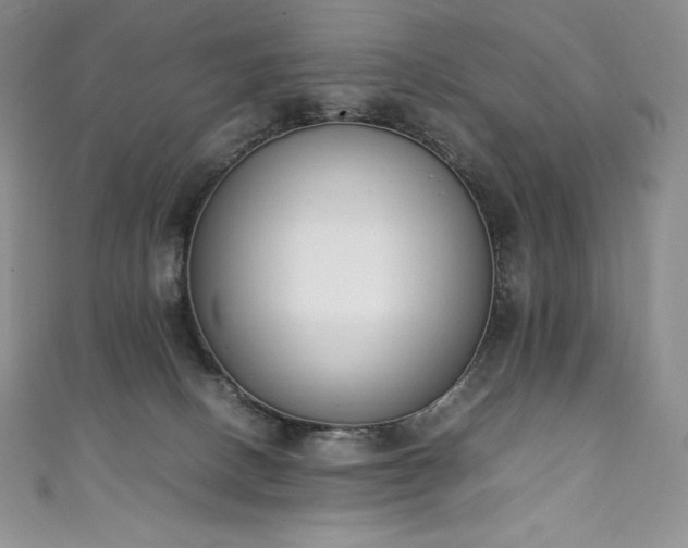 X0000111140082200906301239