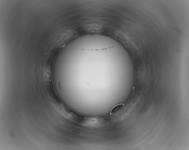 X0000111140083200906301239