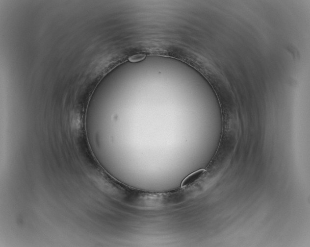 X0000111140084200906301239