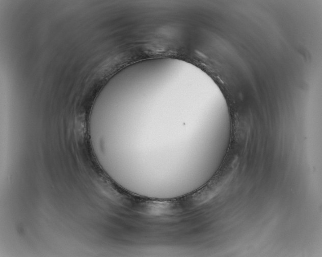 X0000111140085200906301239