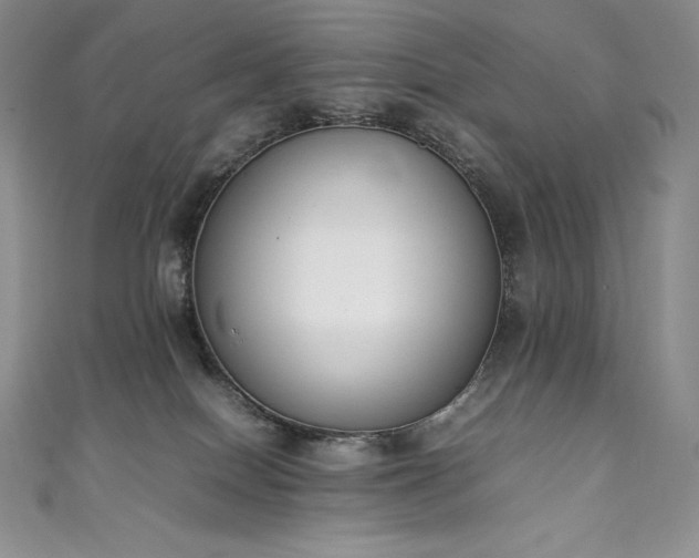 X0000111140086200906301239