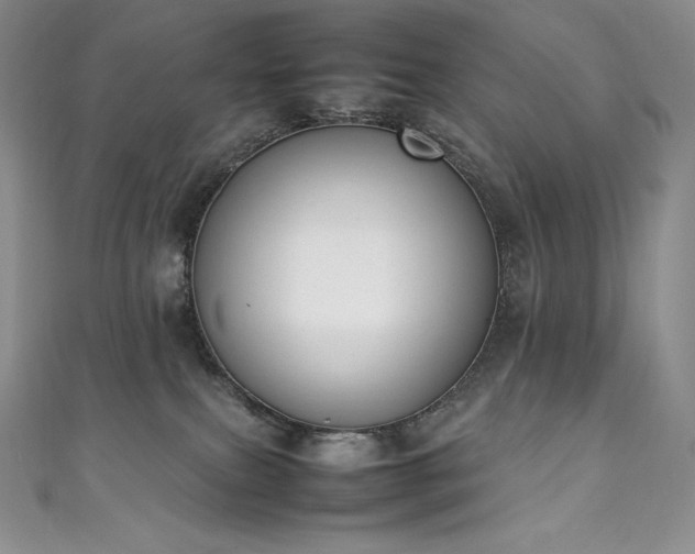 X0000111140087200906301239