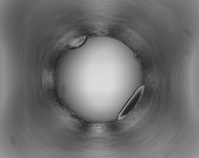 X0000111140088200906301239