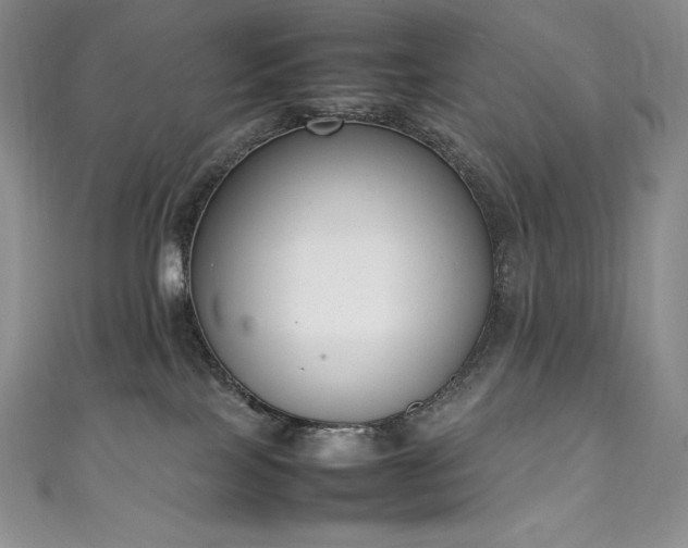 X0000111140089200906301239