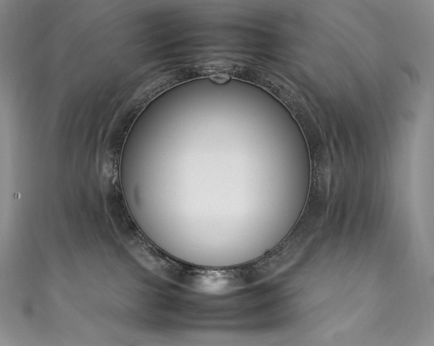 X0000111140091200906301239