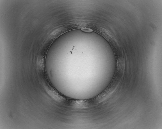 X0000111140092200906301239