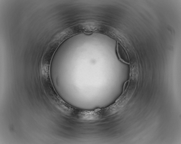 X0000111140093200906301239