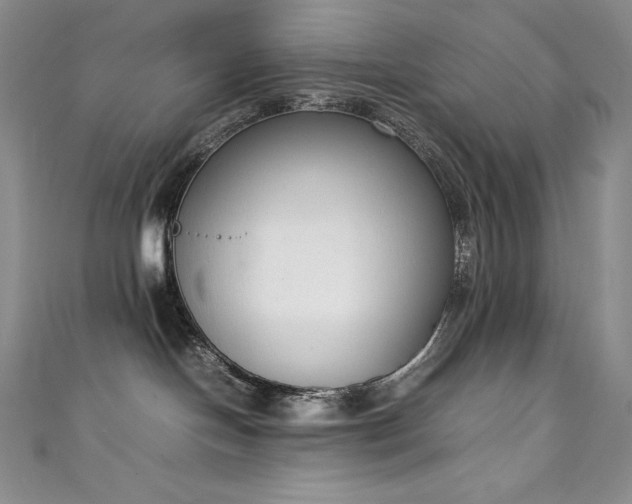 X0000111140094200906301239