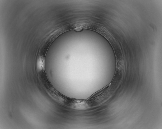 X0000111140095200906301239