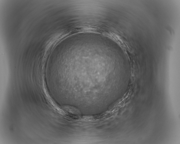 X0000111140097200906301238