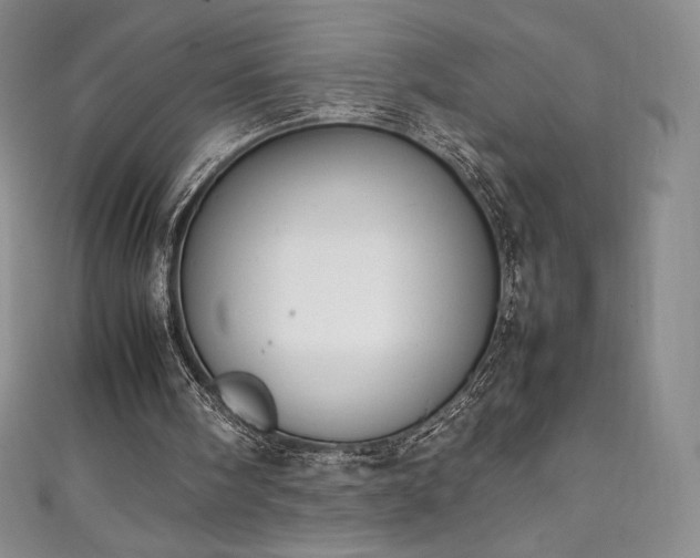 X0000111140098200906301238