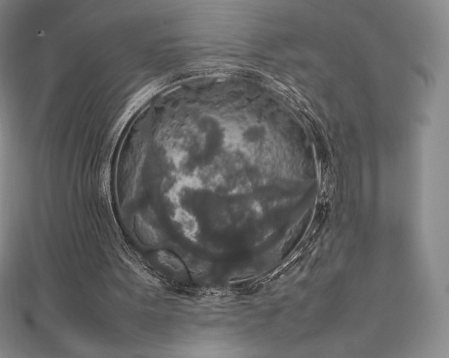 X0000111140099200906301238