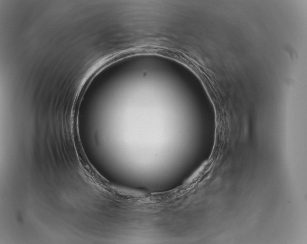 X0000111140100200906301238