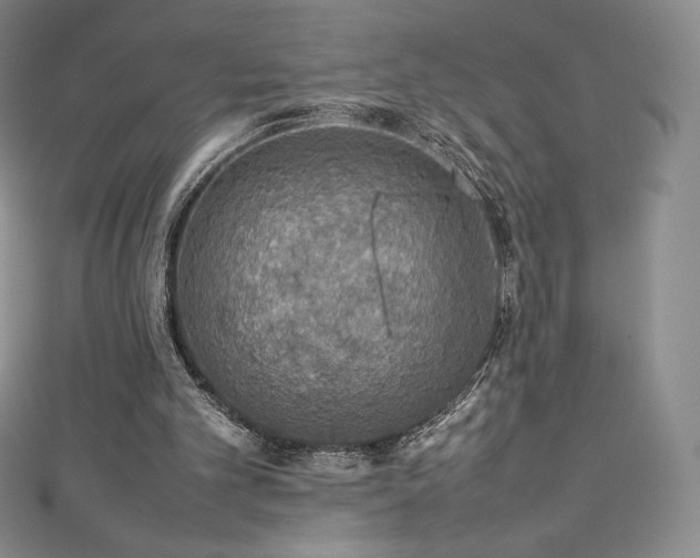 X0000111140101200906301238