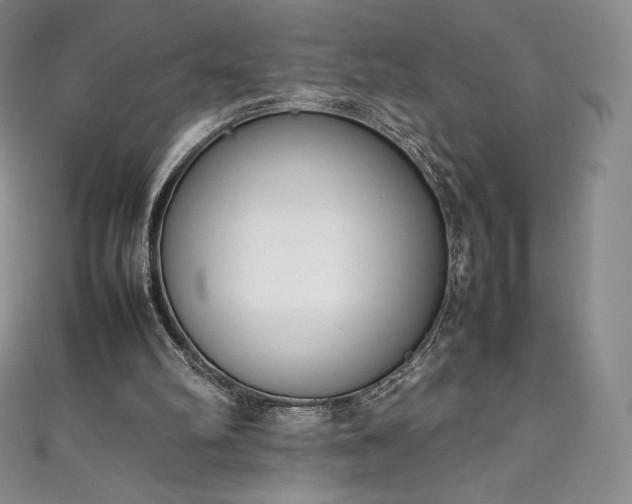 X0000111140102200906301238