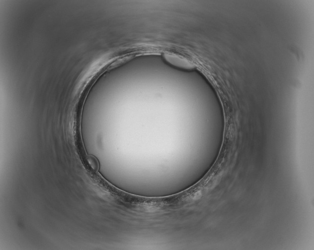 X0000111140103200906301238