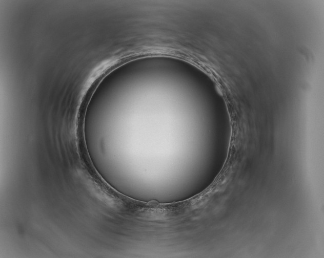 X0000111140104200906301238