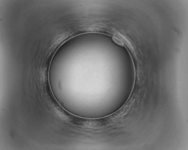 X0000111140105200906301238