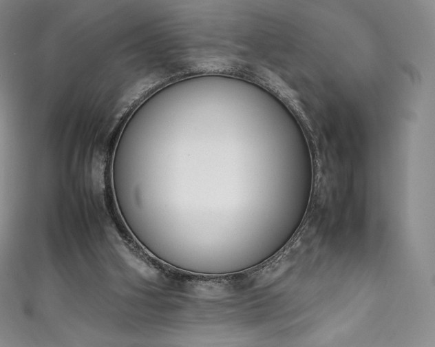 X0000111140106200906301238