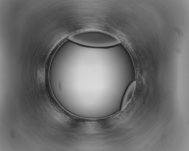 X0000111140108200906301238