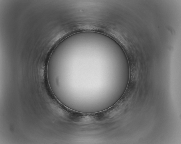 X0000111140111200906301238