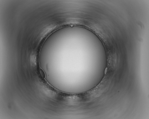 X0000111140112200906301238