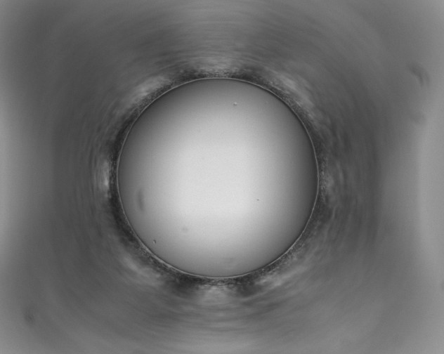 X0000111140115200906301238