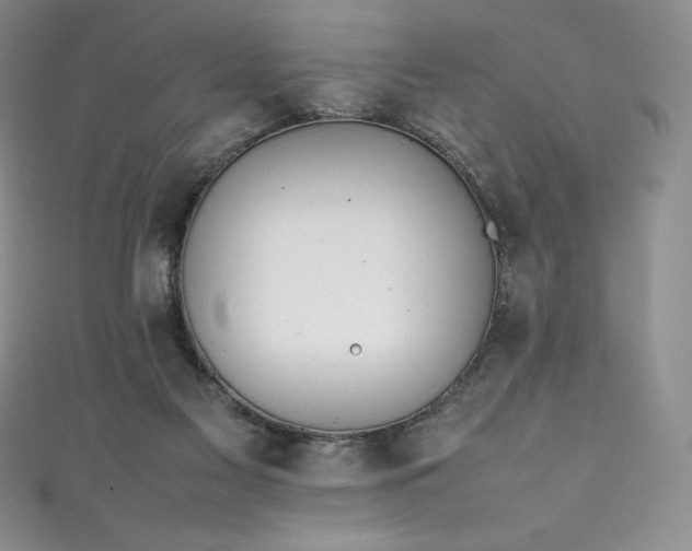 X0000111140117200906301238