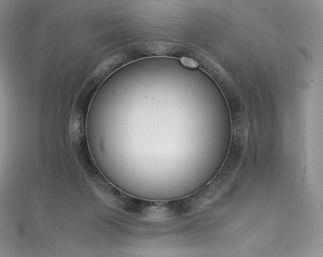 X0000111140119200906301238