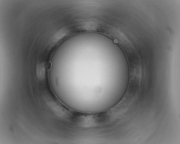 X0000111140120200906301238