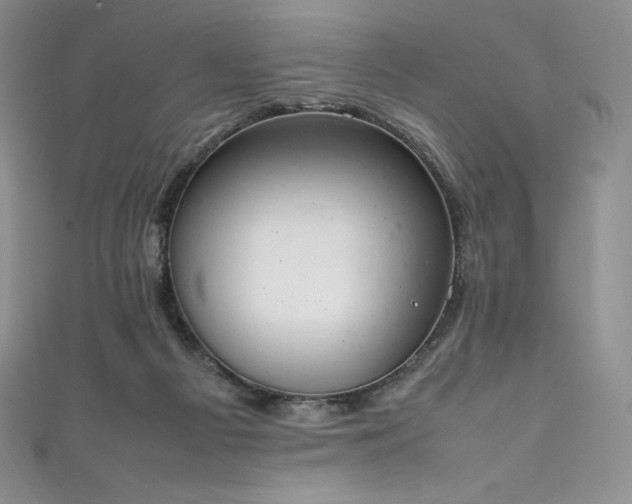 X0000111140121200906301238