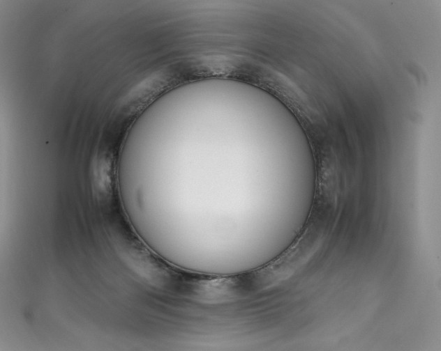 X0000111140122200906301238