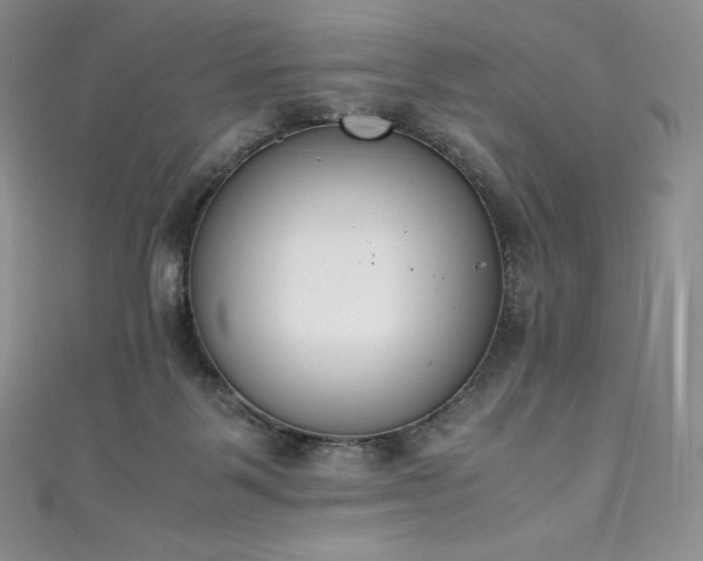 X0000111140123200906301238