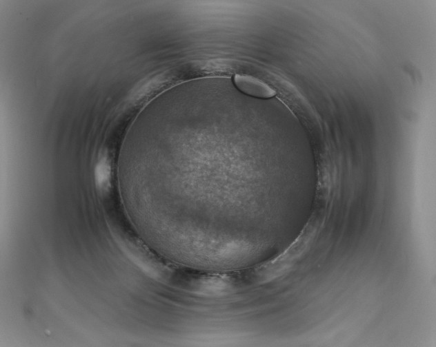 X0000111140124200906301238