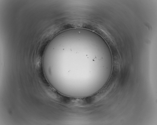 X0000111140125200906301238