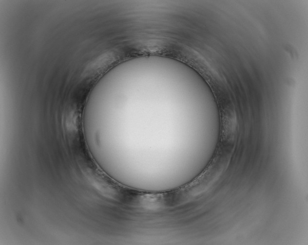 X0000111140126200906301238