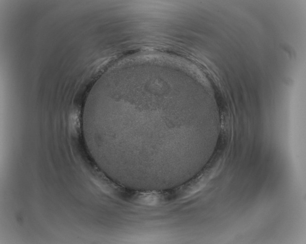 X0000111140127200906301238