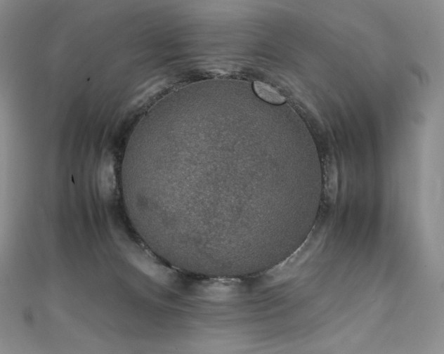 X0000111140128200906301238