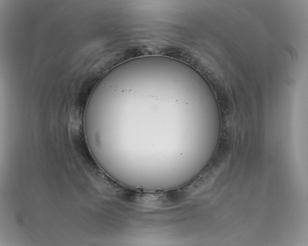 X0000111140129200906301238