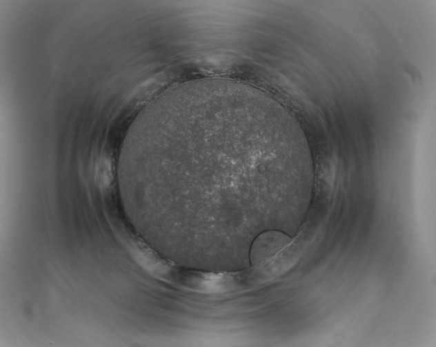 X0000111140130200906301238