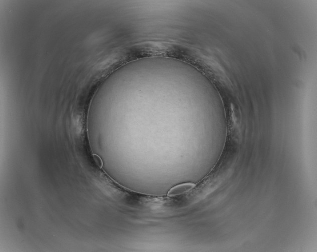 X0000111140131200906301238